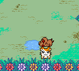screenshots/Game Boy Color/Hamtaro - Ham-Hams Unite!/Hamtaro - Ham-Hams Unite! (Eng) 014.png